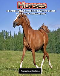 Learn more fun facts about your favorite animal. Kids Books Amazing Pictures Fun Facts On Animals In Nature About Horses For Kids Paperback Walmart Com Walmart Com