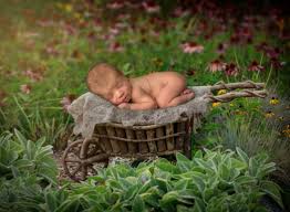 Once you get nice and cozy weather, find a twig or a tree branch that has a good leaf cover and is one or two feet above the ground. Mason Garden Theme Newborn Photos One Big Happy Photo