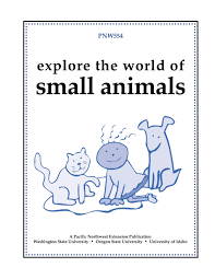Explore the World of Small Animals Leader Guide