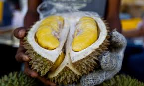 Shop with afterpay on eligible items. Stinking Rich Rare Durian Fruit Go On Sale For 1 000 Each Indonesia The Guardian