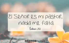 23 Versiculos De La Biblia Sobre El Descanso Siendo Luz
