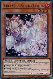 112m consumers helped this year. Yugioh Top 10 Der Meistgespielten Meta Karten