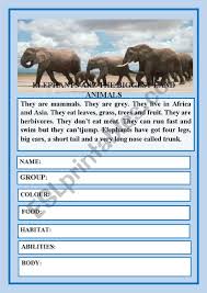 Amazing Animals I Reading Comprehension Esl Worksheet By Lorena Villalba