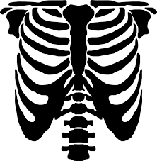 Image Result For Diy Skeleton Costume Template Skeleton Costume Diy Venom Halloween Costume Halloween Costume Bodysuit