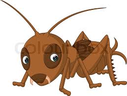 Well that's the male cricket calling out to its. Illustration Of Cute Cricket Cartoon Stock Vector Colourbox