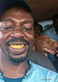 So this is butter, it's not alive, so it's technically dead, but it doesn't  fly... I think Architects are lying to us!