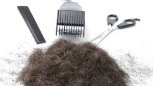 And your bold style becomes the envy of every woman who's ever wanted to go shorter, but lacked the courage to do it. How To Shave A Head From Long Hair To Stubble Length