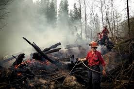 There are 11 wildfires currently burning in the province, nine of them in kamloops fire centre region, but officials said this isn't abnormal for the spring. Bc Wildfire Service Firefighters Quarantined After Returning From U S With Covid 19 Pique Newsmagazine