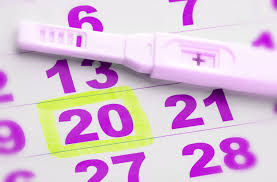 Ovulation Cycles And Why They Can Be Confusing