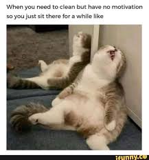 When You Need To Clean But Have No Motivation So You Just Sit There For A While Like Ifunny Cute Cats Funny Cats Funny Dogs