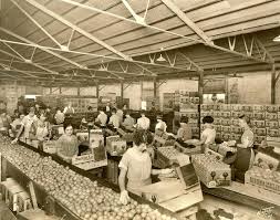 Vintage Fruit Crate Art Portrays The San Fernando Valley Of Long Ago San Fernando Valley California History San