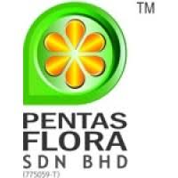 Manufacturer, trading company, buying office, agent, distributor/wholesaler, government ministry/bureau/commission, association. Pentas Flora Sdn Bhd Linkedin