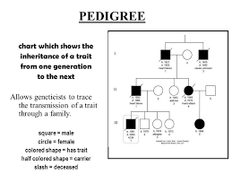 Human Heredity And Biotechnology Chapter 11 1 11 3 With A