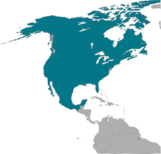 Последние твиты от america (@americaband). North America Migrationpolicy Org