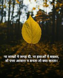 In hindu belief it is the name of the sage vasishtha's wife, who is identified with the star. Pin By Artijainanju On Hindi Quotes Still Water Autumn Leaves Leaves
