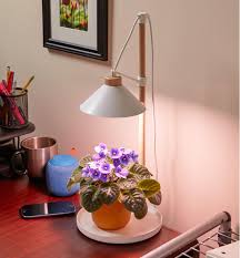 Led Desk Grow Light Lee Valley Tools