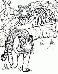 Pin On Printable Coloring Pages Template