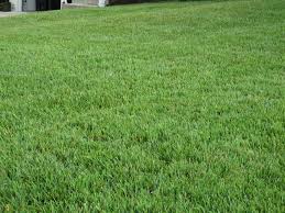 Check spelling or type a new query. What S An Organic Way To Discourage Crabgrass From A Large Lawn Gardening Landscaping Stack Exchange