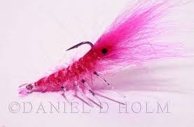 Saltwater Shrimp Fly Tying Lesson Step By Step Pro Easy Shrimp Saltwater Flies Fly Tying Fly Fishing Tips