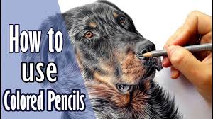 Free shipping deals daily · high quality products Learn My Colored Pencil Drawing Techniques Dog Fur Leontine Van Vliet Youtube