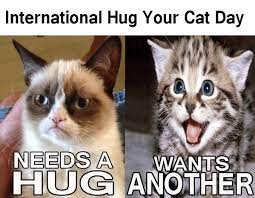 Although we don't really do hugs, unless you're referring to the road. Make Sure To Celebrate International Hug Your Cat Day Cat Day Hug Your Cat Day Cats