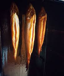 Geraucherte Forellen Geraeucherte Forellen Anleitung Fische Raeuchern 05 Geraucherte Forellen Anleitung Fisch Rauc Fisch Rauchern Geraucherte Forelle Forelle
