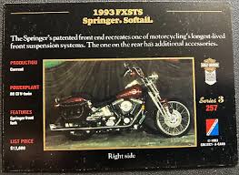 Image result for Bright Sapphire 1993 FXSTS