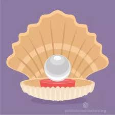 22 free images of clam 156 Scallop Shell Clip Art Free Public Domain Vectors