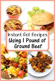 The instant pot does really well with ground meats. 15 Instant Pot Recipes That Use 1 Pound Of Ground Beef 365 Days Of Slow Cooking And Pressure Cooking Instant Pot Recipes Instant Pot Dinner Recipes Recipes