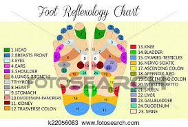 Foot Reflexology Chart Drawing K22056083 Fotosearch