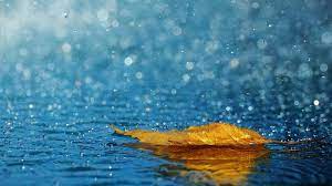 Pin On I Love The Rain