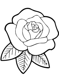 236 x 305 file type: Rose Coloring Pages Pictures Whitesbelfast Com