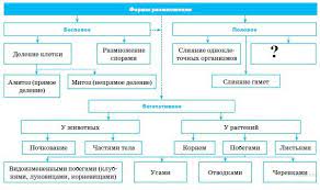 Тренировочные тесты, пробные и реальные варианты егэ по биологии. Reshu Ege Biologiya Ege 2018 Zadaniya Otvety Resheniya Obuchayushaya Sistema Dmitriya Gushina Uroki Biologii Biologiya Zhiznennaya Motivaciya