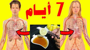 الليمون في العسل هو كنز الصحة فوائد خلط العسل بالليمون وتناوله على الريق في الصباح الباكر Youtube