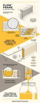 Flow Hive La Ruche Qui Va Revolutionner L Apiculture Neozone Apiculture Abeille Ruche Abeille