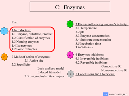 The induced fit theory explains the binding of enzyme and substrate when they are not perfectly matched with each other by their shapes. Ppt As Cie Enzymes Xavier Daniel Academia Edu