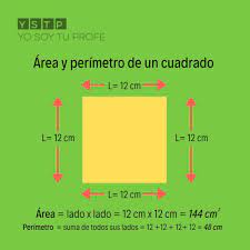 Para calcular el perímetro de un cuadrado. Sabes Calcular El Area Y El Perimetro De Un Cuadrado Yo Soy Tu Profe