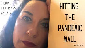 Hitting the Pandemic Wall: PYL In-Flight Entertainment (Mar 24, 2021)