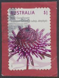 Image result for Dasylepis