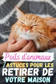 Pin On Menage Nettoyage Et Entretien
