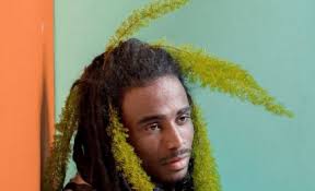 Meet Aleq Bey: Actor