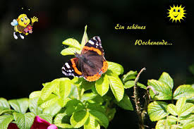 Ich wünsche dir ein schönes und sonniges wochenende! 8. Ein Schones Wochenende Foto Bild Motive Zum Wochenende Bilder Auf Fotocommunity