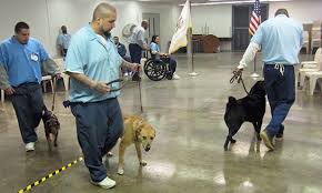 From wikipedia, the free encyclopedia. Inmates Shelter Dogs Get Second Chance Benefit Veterans Veterinary Medicine At Illinois