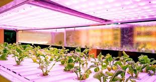 Best Full Spectrum Led Grow Lights Of 2020 Reviews Top Picks