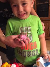 Guinea Pig that's not a pig ….. 360 pocket pet