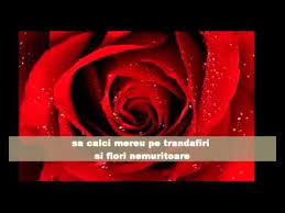 La multi ani nepotica noastra cea iubita. La Multi Ani Nana Vera Youtube