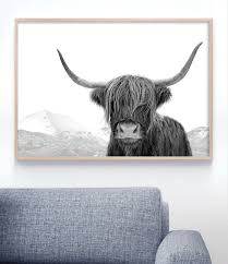 Black And White Animal Prints Australia Large Highland Cow Print Black And White Cow Art Farm Animal Photography Prints Large Wall Art Boho Decor Modern Farmhouse Decor Wall Art Prints Living Room Highland Cow Print Highland Cow