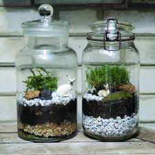 Diy Un Terrarium A La Maison Terrarium Terrarium Bocaux Et Faire Un Terrarium