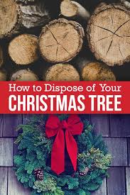 Everything You Need To Know About Getting Rid Of Your Christmas Tree Holiday Tree Christmas Tree Christmas