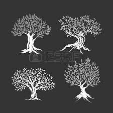Oliviers Silhouette Icone Ensemble Isole Dessin D Arbre Dessin Arbre Silhouette Arbre